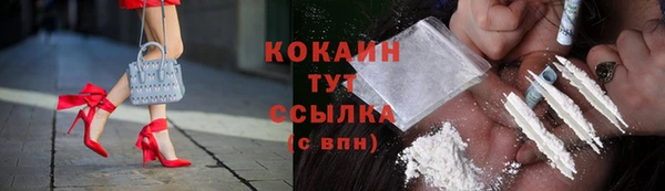 трава Новокубанск